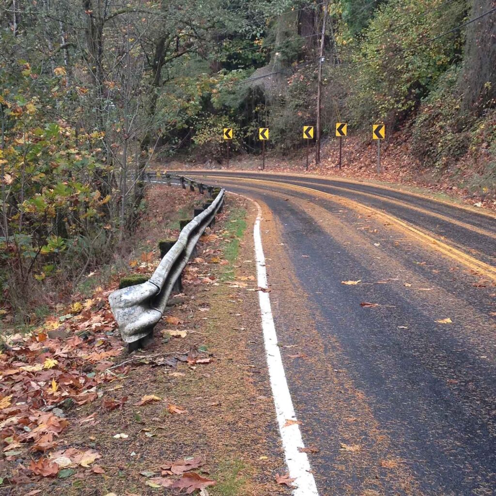 Photo of a bend in a road through a forest, by Photo by Naomi Steinberg, Ph.D.